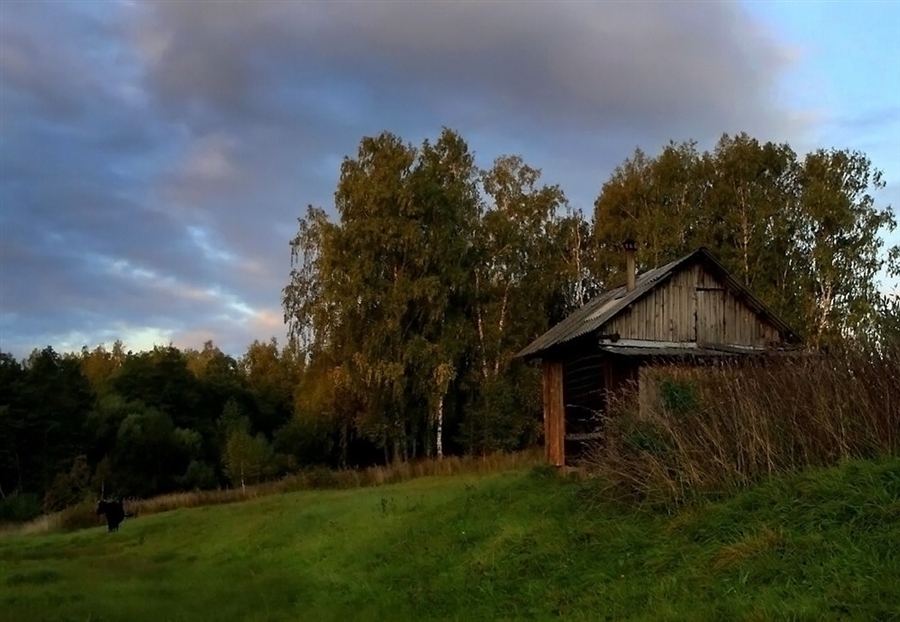 Фотография о родных местах. Родная сторонушка. Родные места. Родные места фото. Родные места съемки.