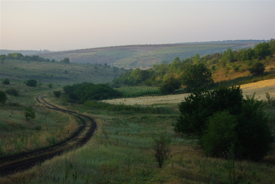 Село степовая новоселовка. Село Новоселовка Саратовская область. Степной новосёловке. Новоселовка Харьковская область.