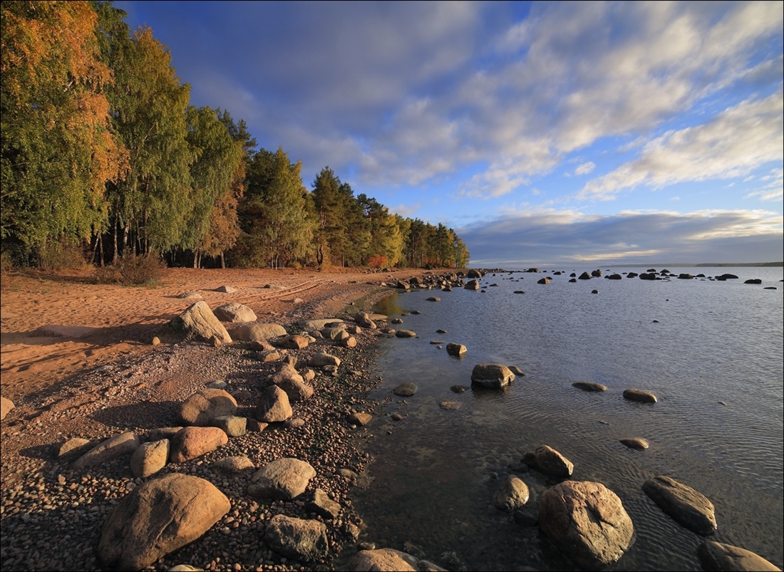 Финский залив фото пляжей