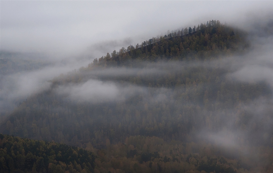 Вдруг навалился густой туман как будто стеной. Дым туман Горно-Алтайск сегодня.