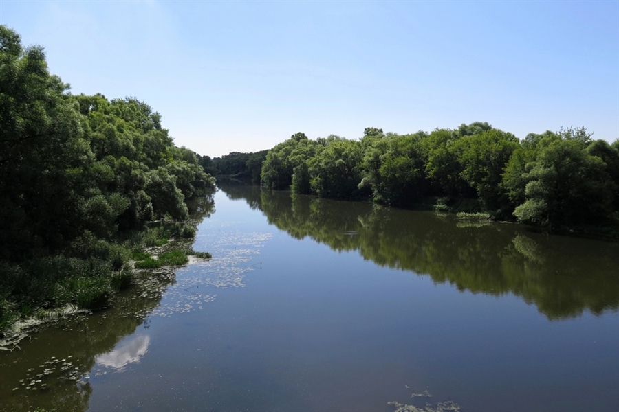 Где живет нара. Река Нара Наро-Фоминск. Река Нара Серпухов. Река Нара Московская область. Река Нара в Серпухове фото.