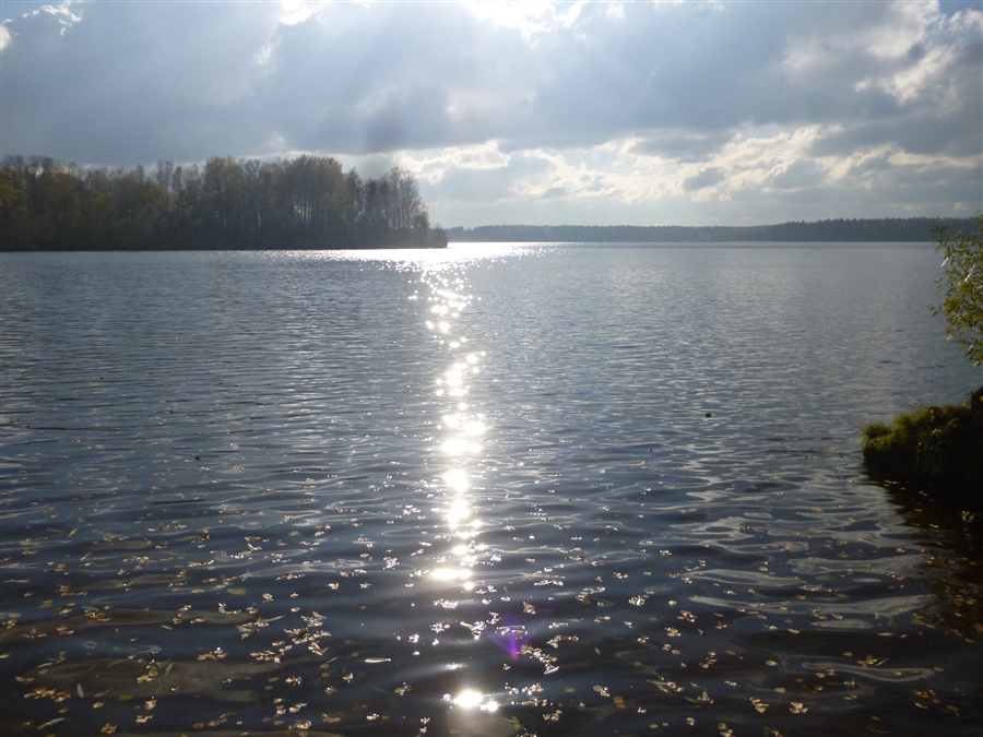 Учинское водохранилище пушкино. Пушкино водохранилище. Акуловское водохранилище. Учинское водохранилище Мамонтовка.