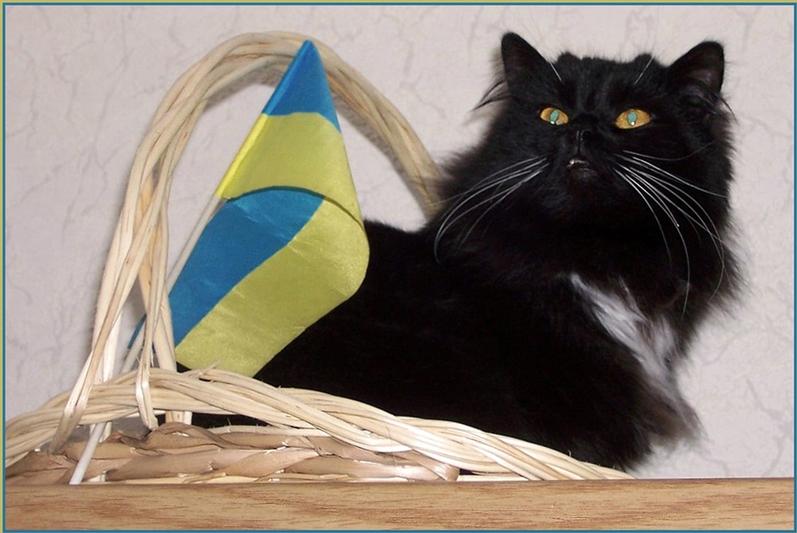 Кот украинец. Украинский кот. Кот с украинским флагом. Патриотичный кот. Коты в Украине.