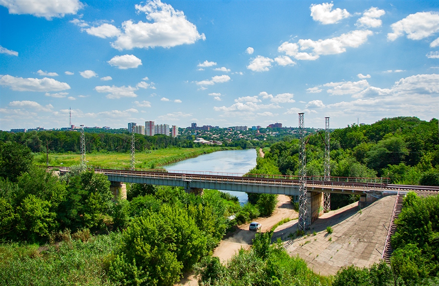 Темерник ростов фото