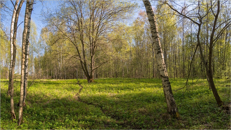 Майские деньки картинки