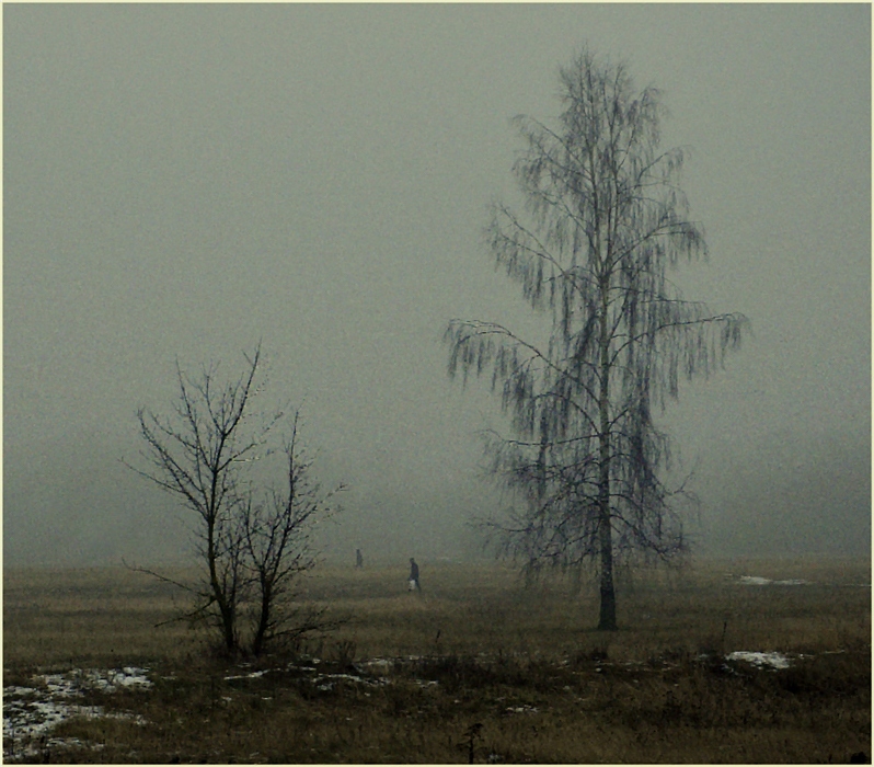 Хмурое утро. Хмурое гармоничное утро. Хмурая серая осень. Есотинв классиаов. Хмурое ноябрьское утро 2011 года кукольник.