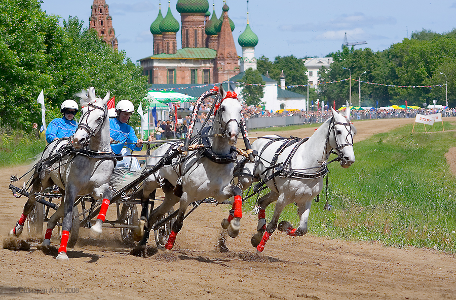 Птица тройка картинки