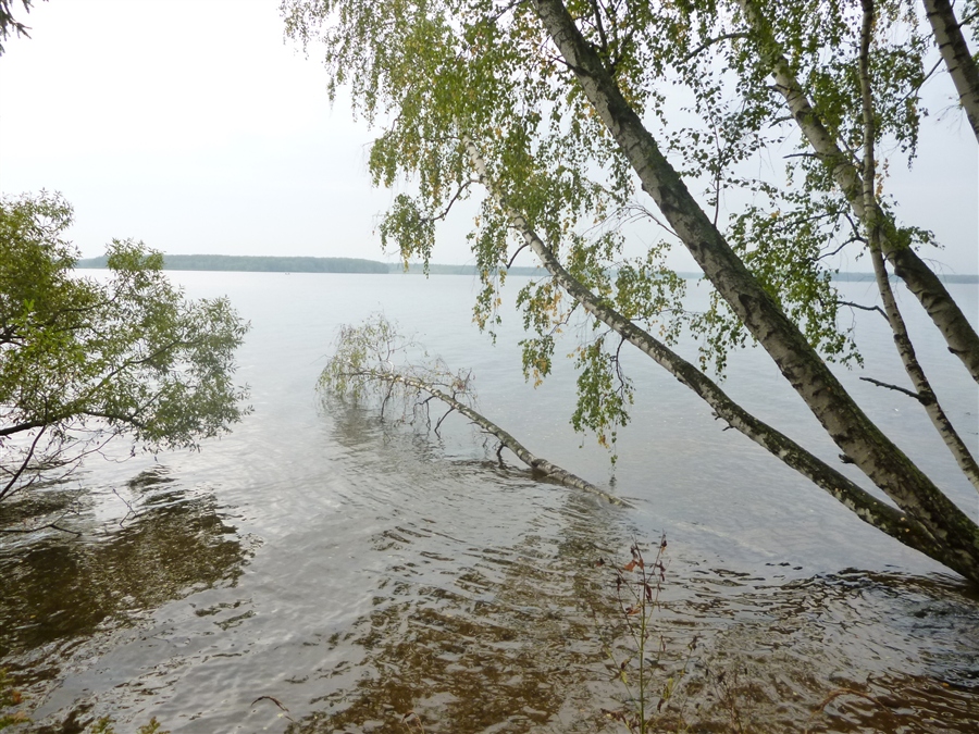 Учинское водохранилище пушкино. Учинское водохранилище. Пушкинское водохранилище. Учинское водохранилище Мамонтовка.