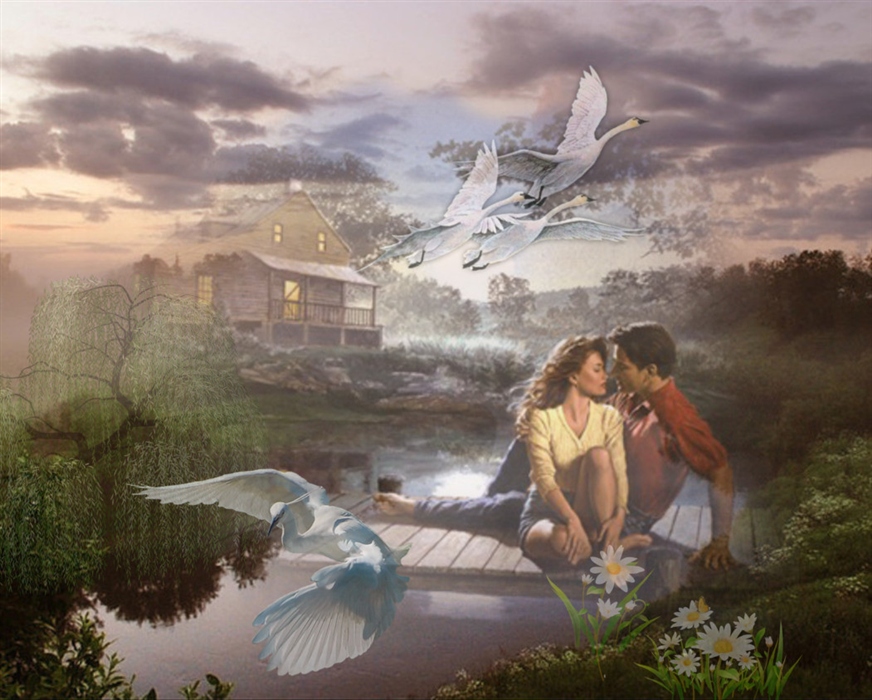 Птица твое нежное. Над рекой. Гифы над речкой. А на сердце рассвет над речкой туман. Две влюбленные души.