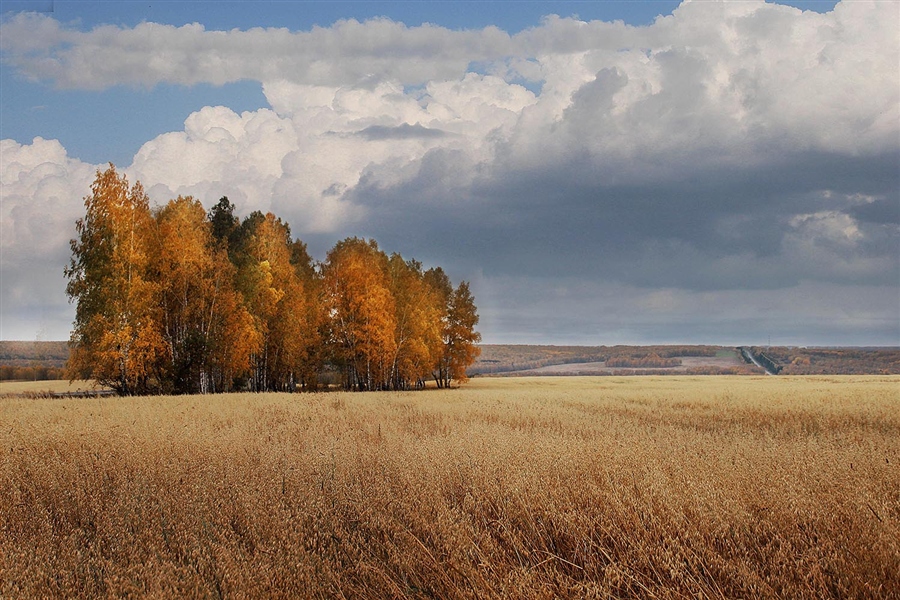 Фото бабье лето