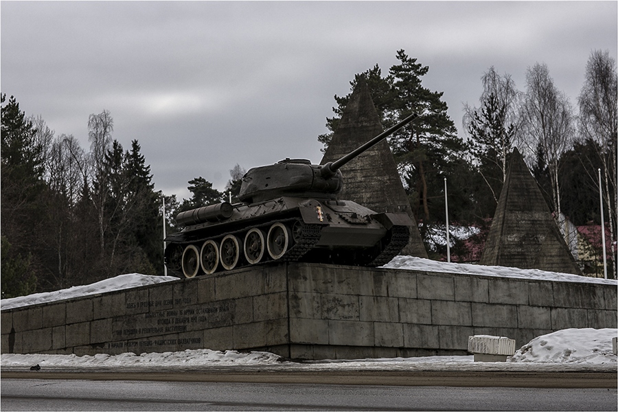 Снегири московская область