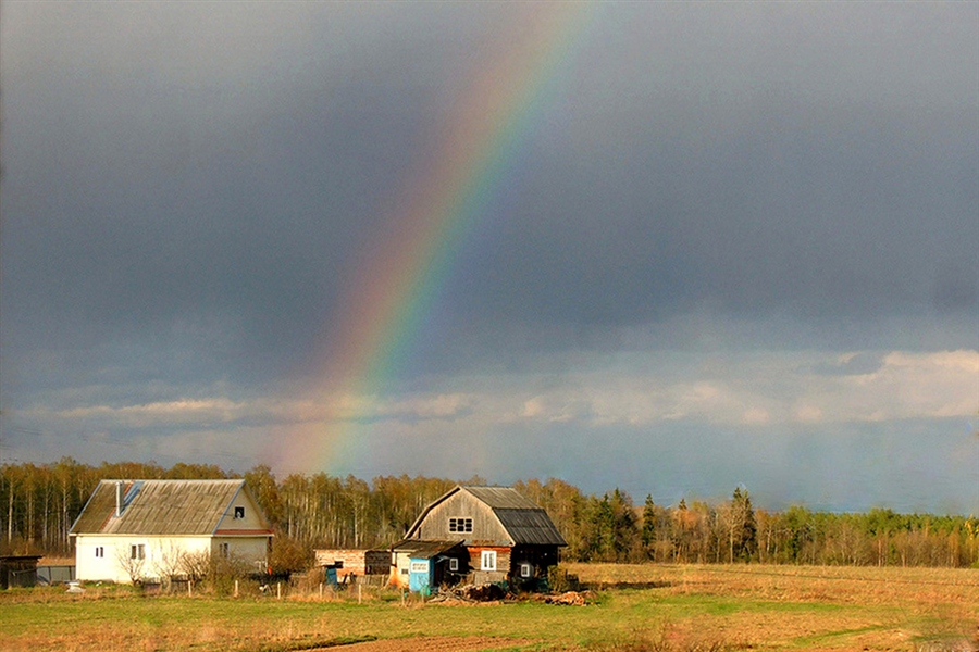 Фото весна радуга