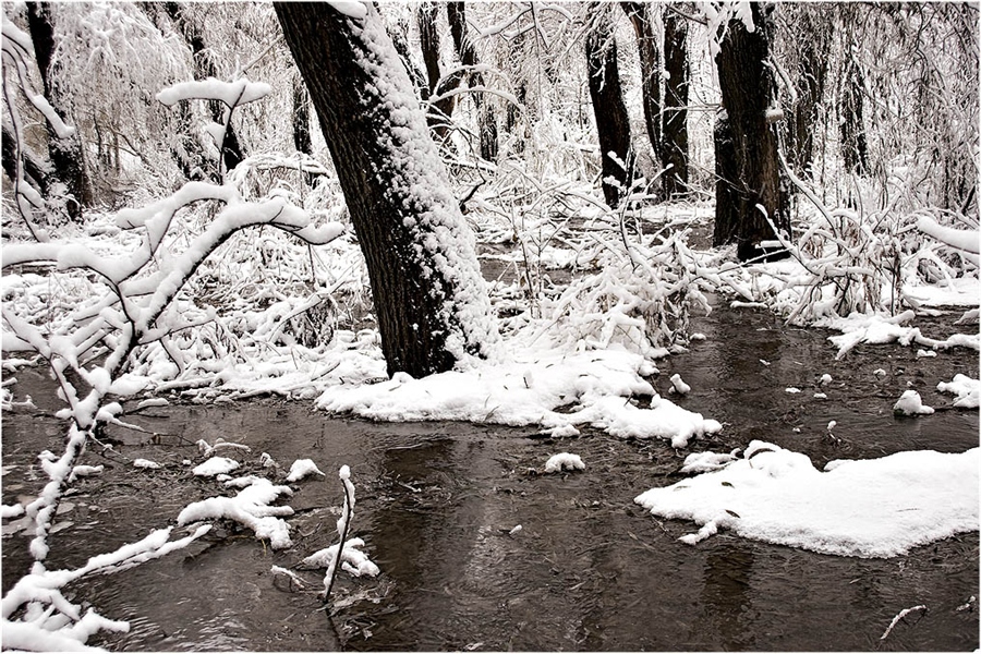 Болотная зима. Болотное зима фото. Александровск-Сахалинский болота зимой Сонька Золотай ручка.
