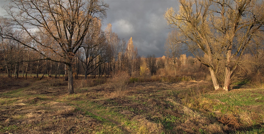 Стоит ноябрь у двора. Стоял октябрь у двора. Новочеркасск поздней осенью. Стоял декабрь уж у двора картинки. Ноябрь стоял тёмный и грязный.