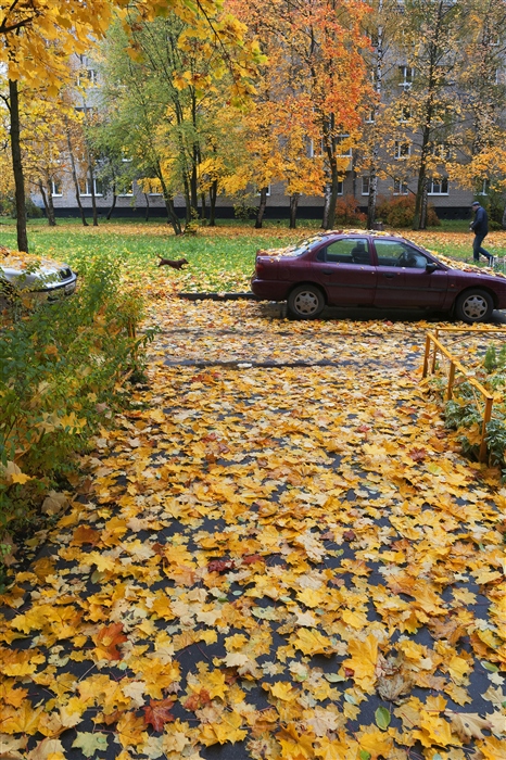 Фото Осени Во Дворе