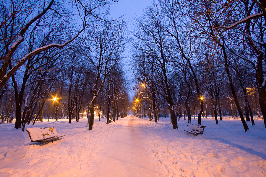 Зимняя прогулка в парке