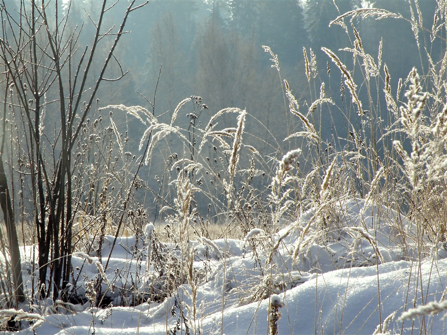 Зима зарисовки фото