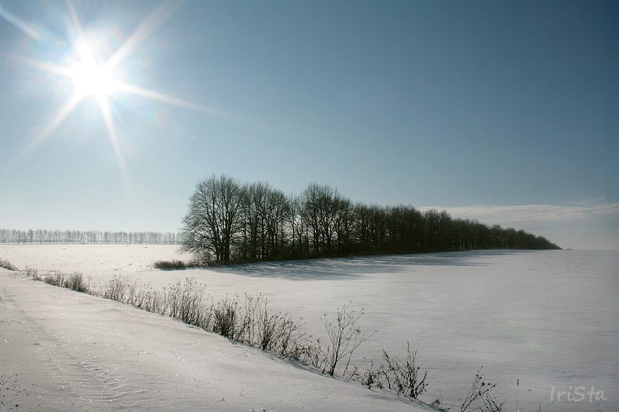 Полдень зимой. Природа зимний полдень картинки. Полдень зимой в городе фото. Солнечный полдень в городе.