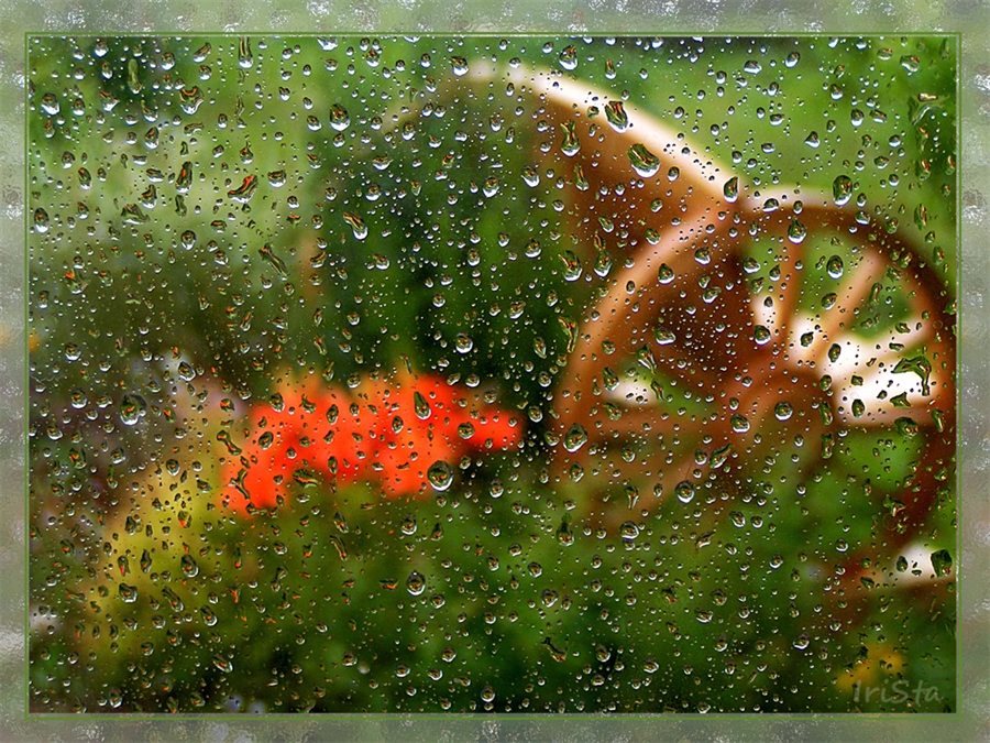 Утро дождь картинки. Открытка летний дождь. Дождливое утро лета. Дождливый летний день картины. Дождливое утро августа.