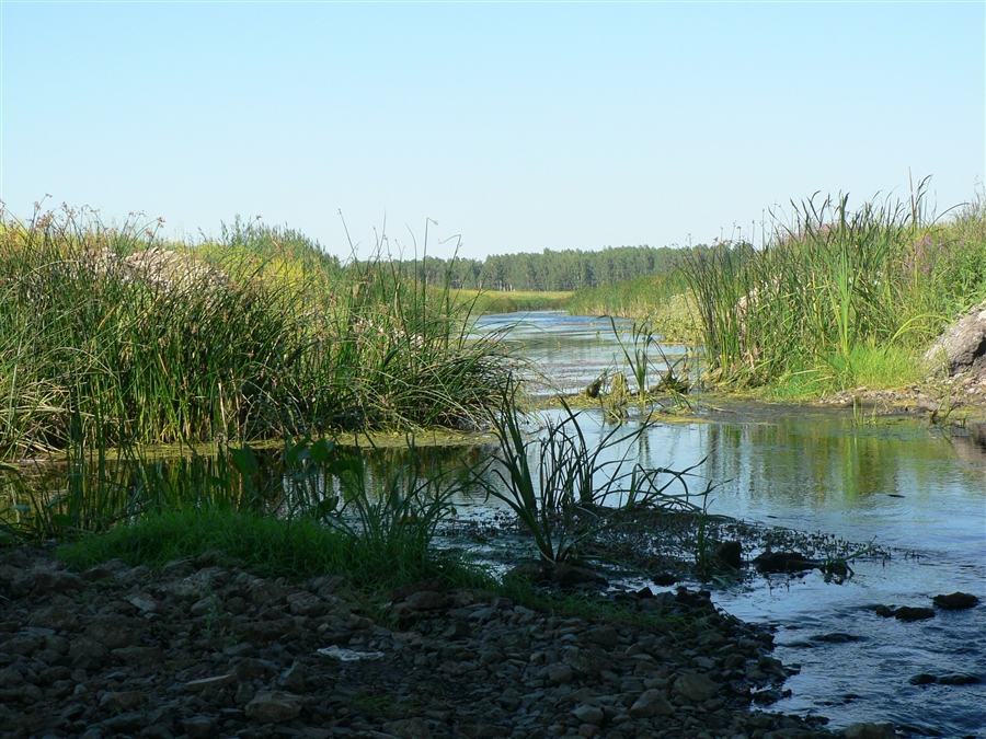 Погода село чулым. Река Чулым Новосибирская область. Река Чулым Чулымский район Новосибирская область. Деревня Чулым. Чулым (река, впадает в малые Чаны).