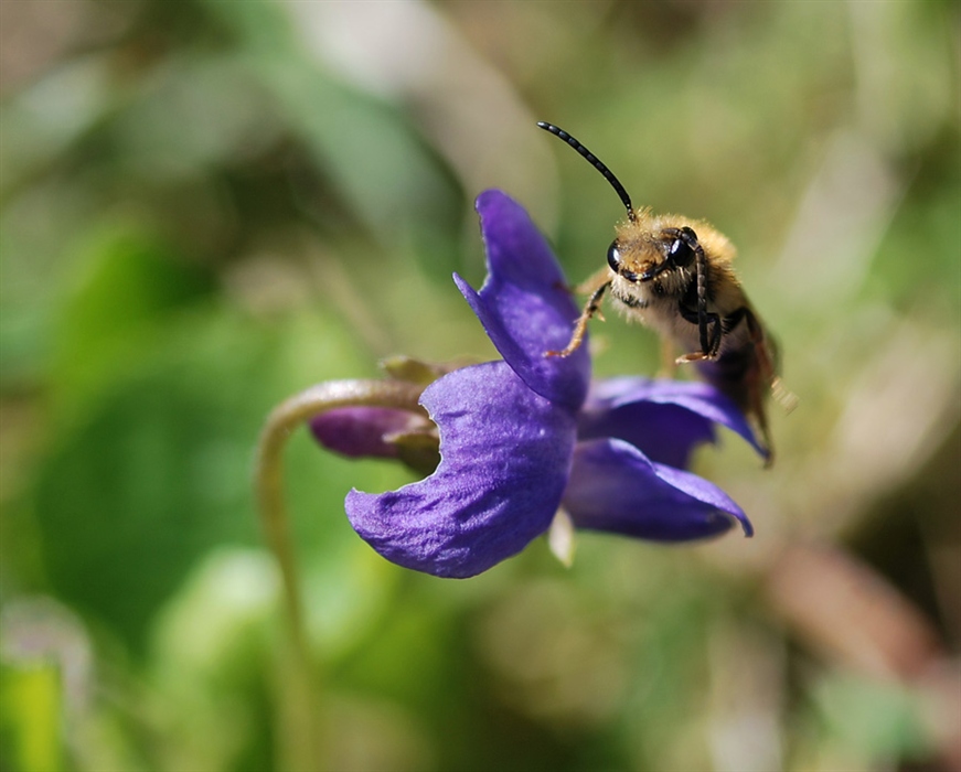 жучки паучки часовая. жучок паучок. жучки паучки часовая. антикафе жучки-паучки москва. жучок паучок.