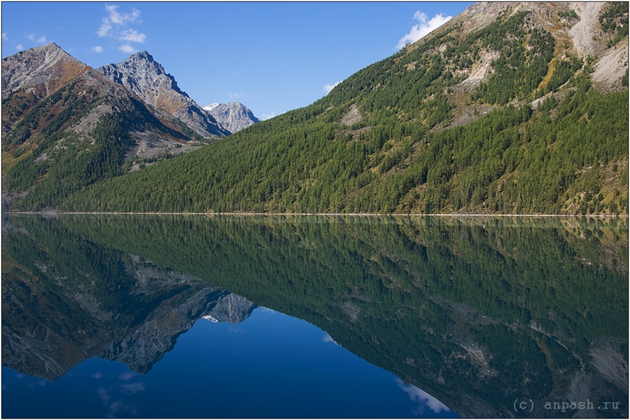 Симметрия в жизни фото