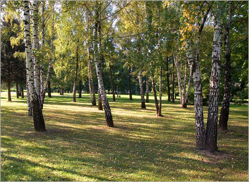 Камера коломна. Солнечный пейзаж Коломенское фото.