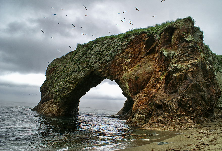 Великан фото картинки