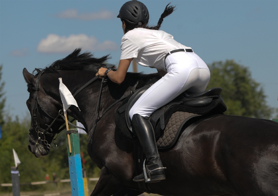 Big girls riding. Жокей конкур. Конкур конный спорт. Женские скачки на лошадях. Наездница с лошадью.