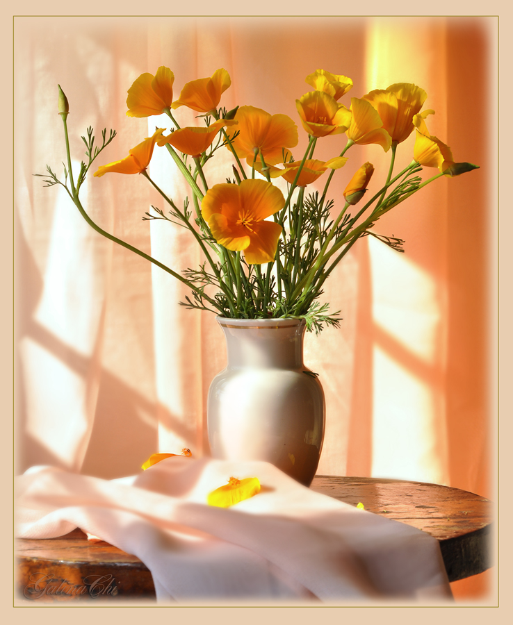 Цветы утром гифы. Оранжевые цветы в вазе. Солнечные весенние цветы в вазе. Доброе утро цветы в вазе. Доброе утро оранжевые цветы.
