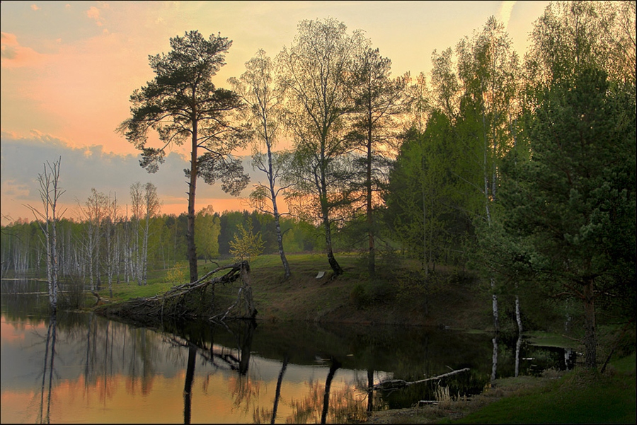 Фотожизнь художественная