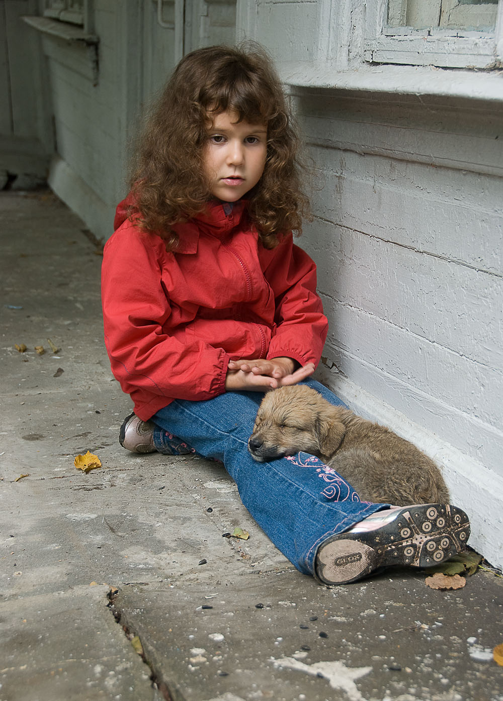 Детские тута. Бедная девочка. Маленькие бездомные девочки. Дети и бездомные животные.
