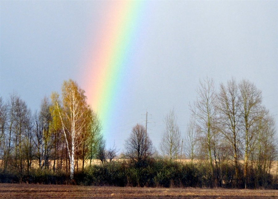 Фото весна радуга