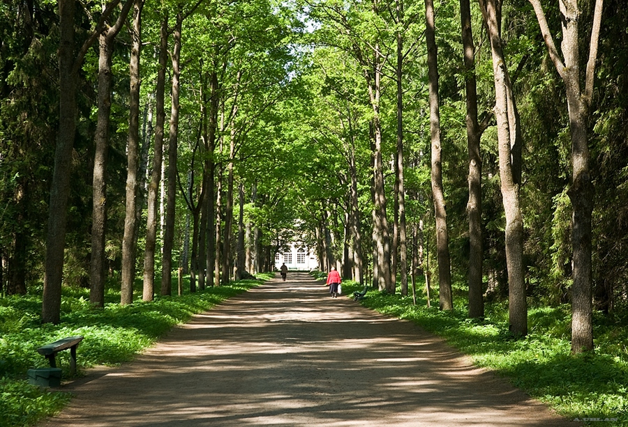 Городской парк фото