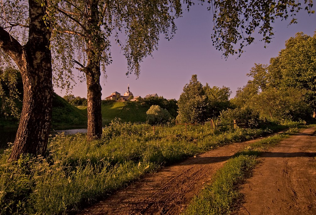 На зеленом лугу поздним вечером. Ночной яблочный сад в деревне. Сычевка лето вечер. Фото Михайловское лето вечер. Живописное Загородное шоссе летним вечером.