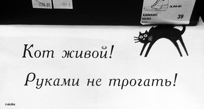 Руками не трогать. Руками не трогать прикол. Руками не трогать картинка прикольная. Руками не трогать кот. Руками не лапать.