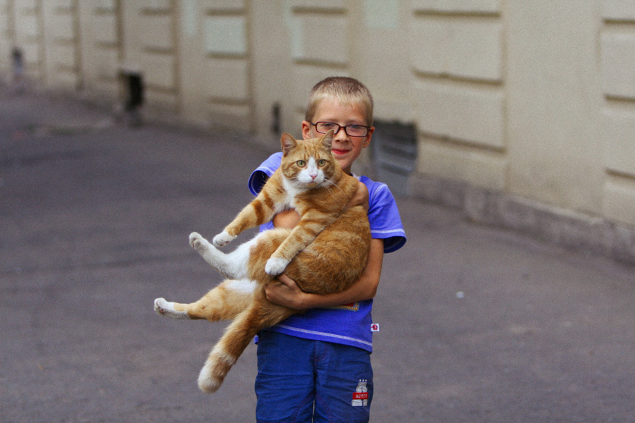 Включи кот пацан. Кошка несет. Ребенок несет кота. Мальчик с рыжим котом. Несут кошку на руках.