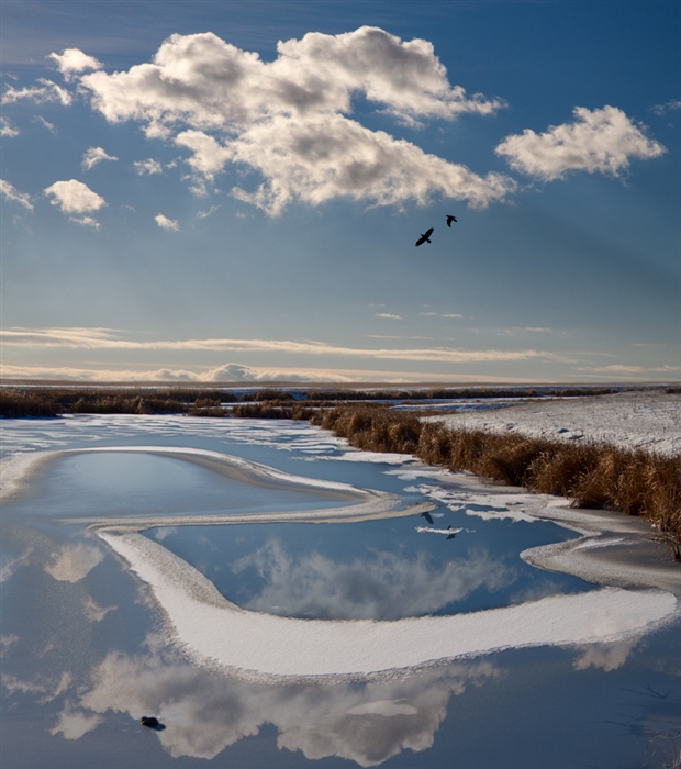 Погода на неделю степном озере. Степное озеро Алтайский край. Степное озеро озеро. Степное озеро Алтайский край озеро. Степное озеро Алтайский край Благовещенский район.
