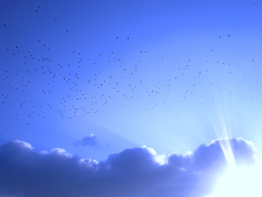 Внутренний мир. Задуматься о жизни. Океан под водой. Небо глубиною в жизнь. Artem rhads chebokha картины художник.