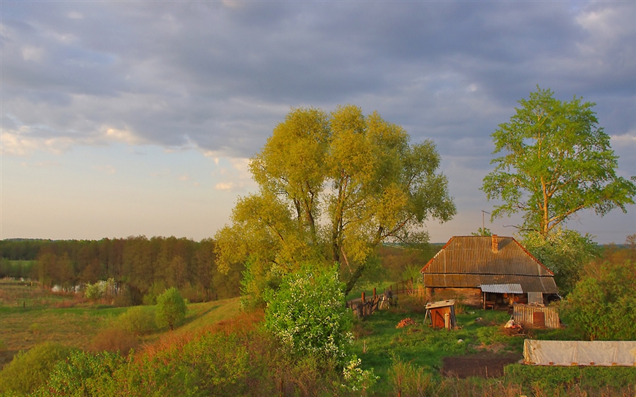 Из деревни ясное в село майское. Май в деревне. Деревня в мае. Весна в деревне май. Родные просторы деревня.