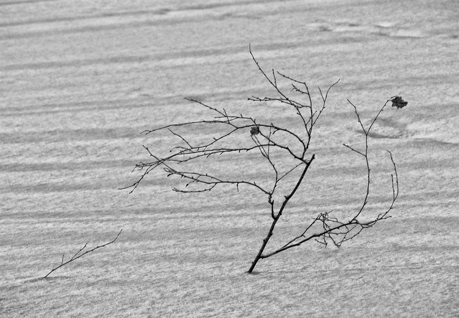 Нити ветров. Черно белое картинка ветра зимой. Ветер зимой на прозрачном фоне. Рисунок сильного зимнего ветра в картинках. Рисунок ветер снег чб.