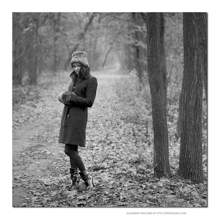 Autumn voice. Autumn voice. фотосессия в осннемлесу. Voice battle игра песни. осень листва.