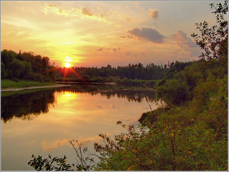 Берега Ветлуги