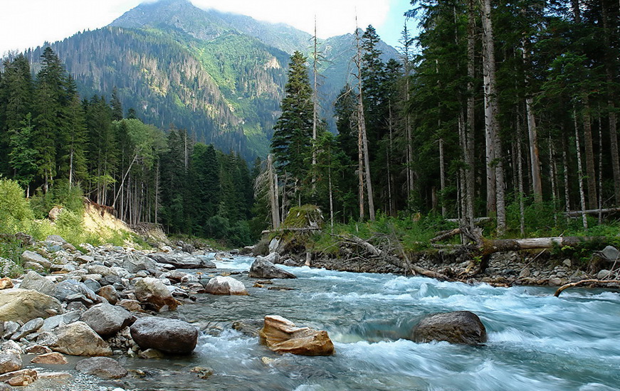 Какие есть горные реки. Горные реки Кавказа. Бурные реки Кавказа Катун. «Кубай»-кавказский горный Речной поток. Равнинные реки Кавказа.