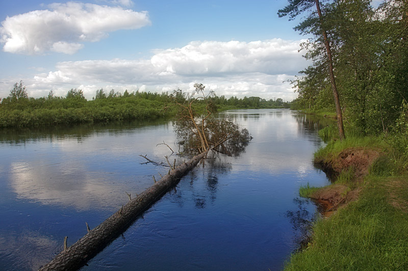 По реке плывет бревно