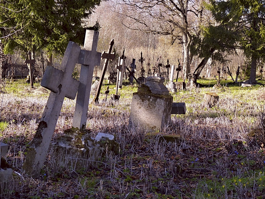 Кладбища сельсоветов. Старое кладбище, деревня старый Погост. Сельские кладбища и погосты. Старое заброшенное кладбище. Погост кладбище.