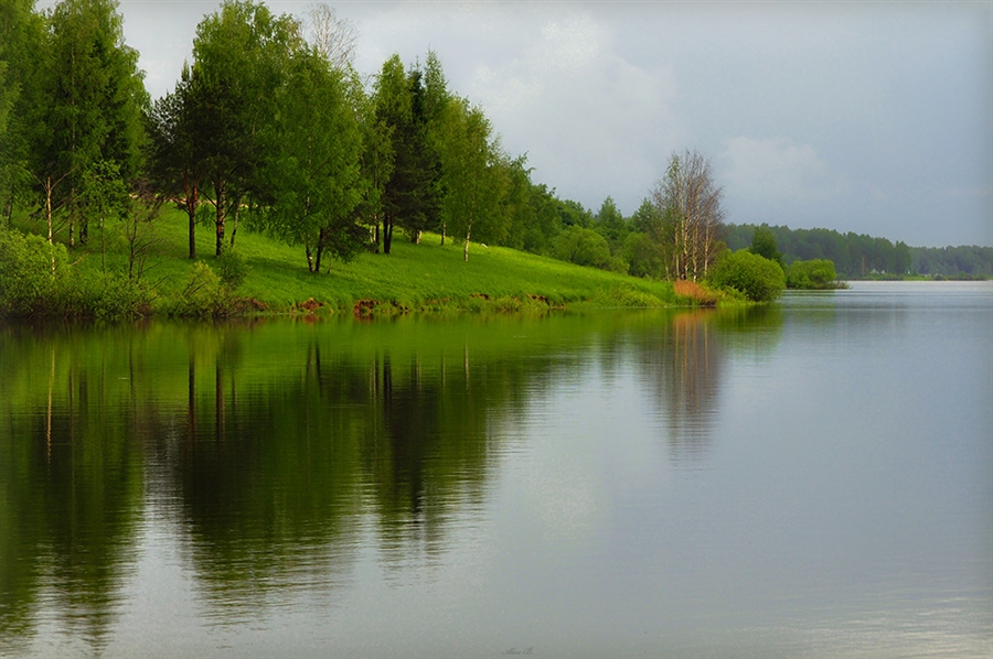 Природа любительская съемка. Любительские фотографии природы. Фото природы непрофессиональные. Фото природы любительские непрофессиональные.