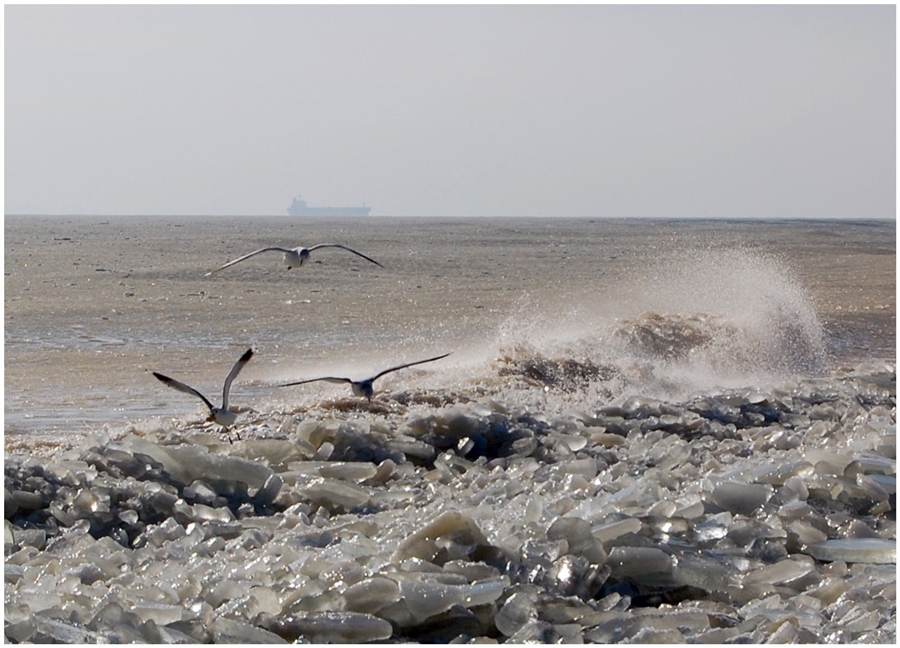 Холодное черное море